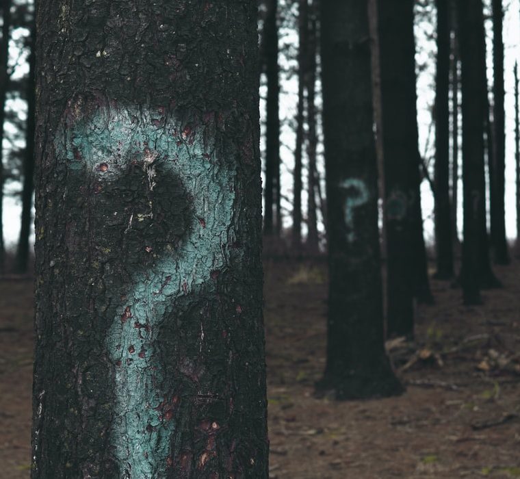 atividades para crianças