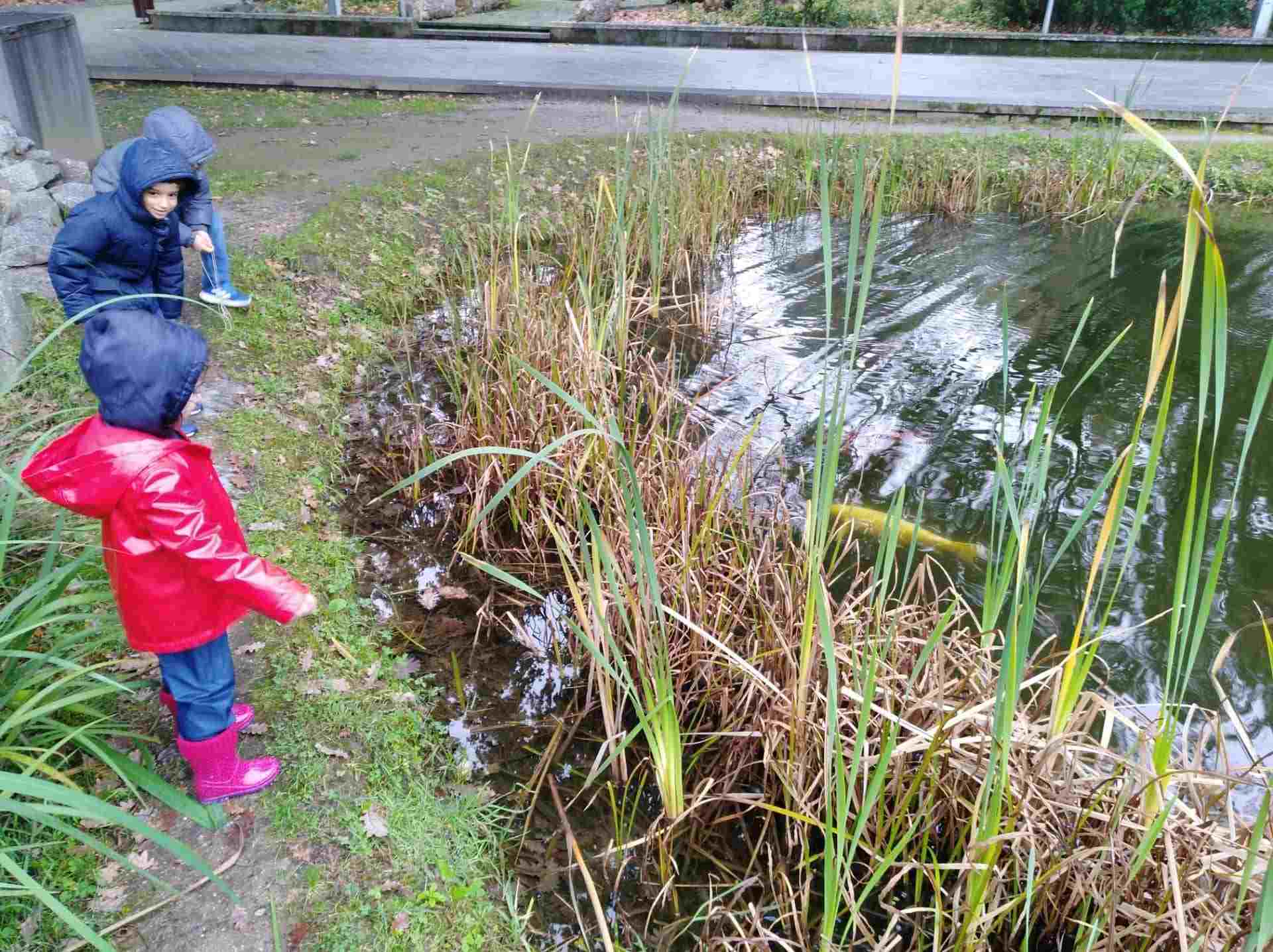 teletrabalho com crianças