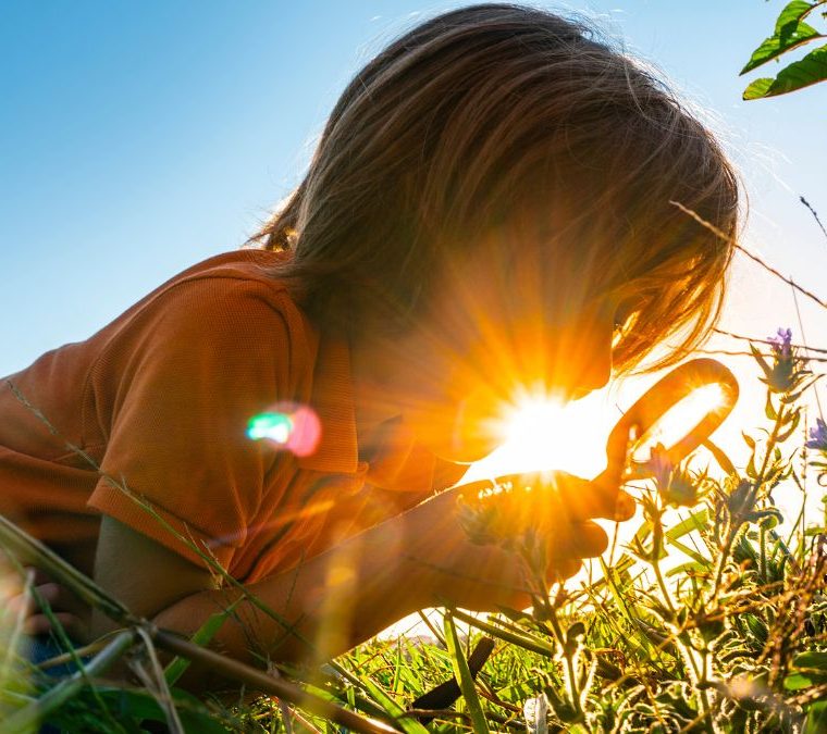 criança a investigar natureza