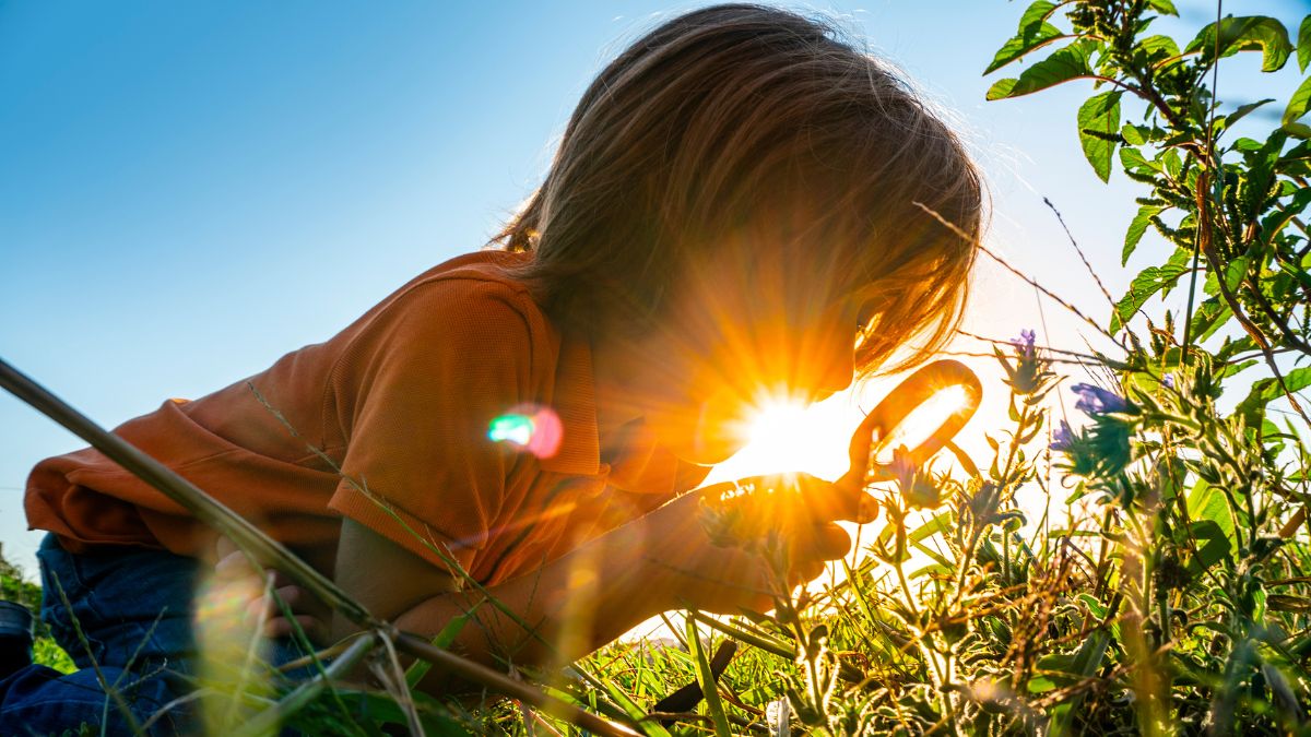 criança a investigar natureza